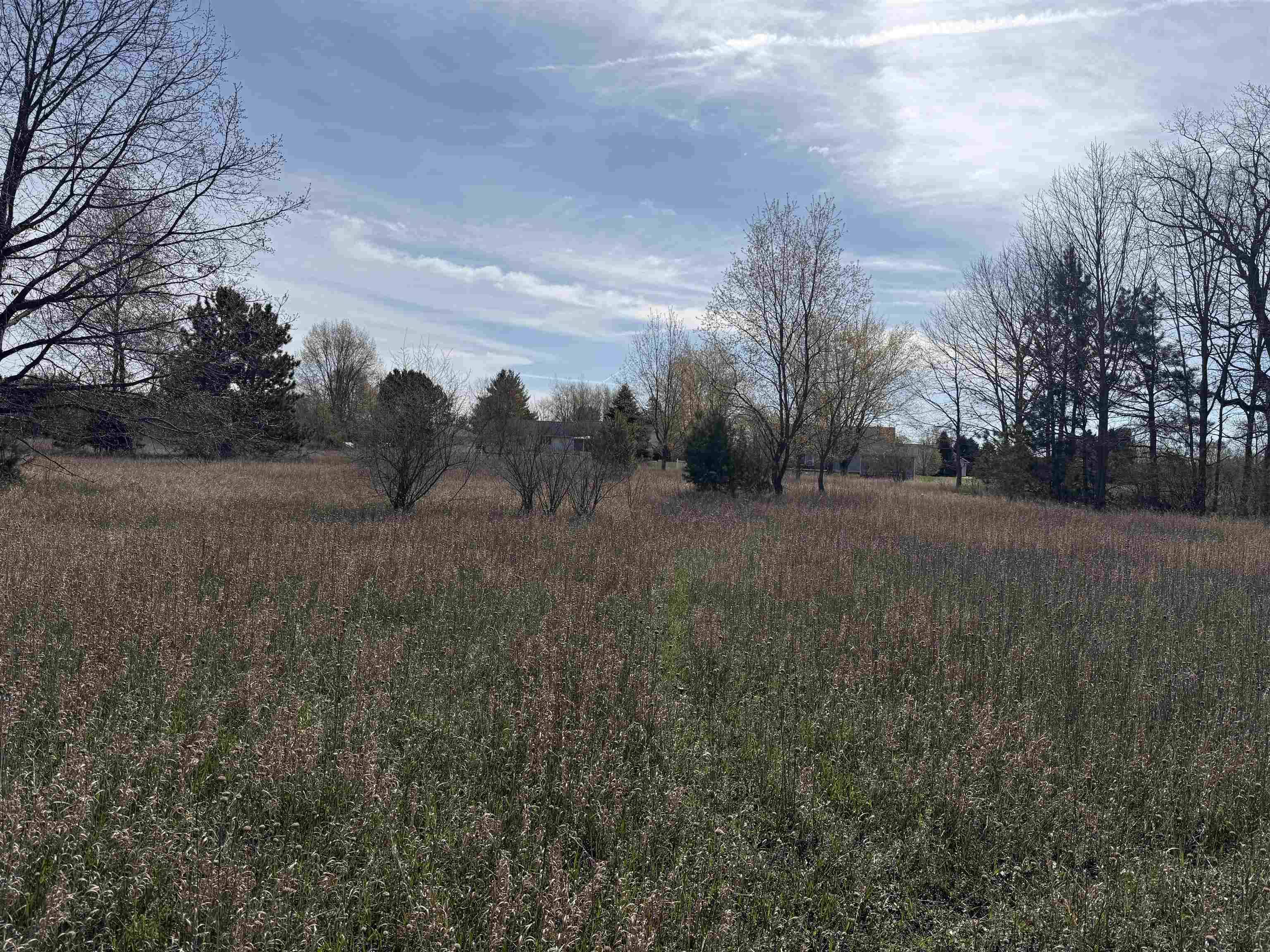 Lake Isabella, MI 48893,1016 Pyrenees DR