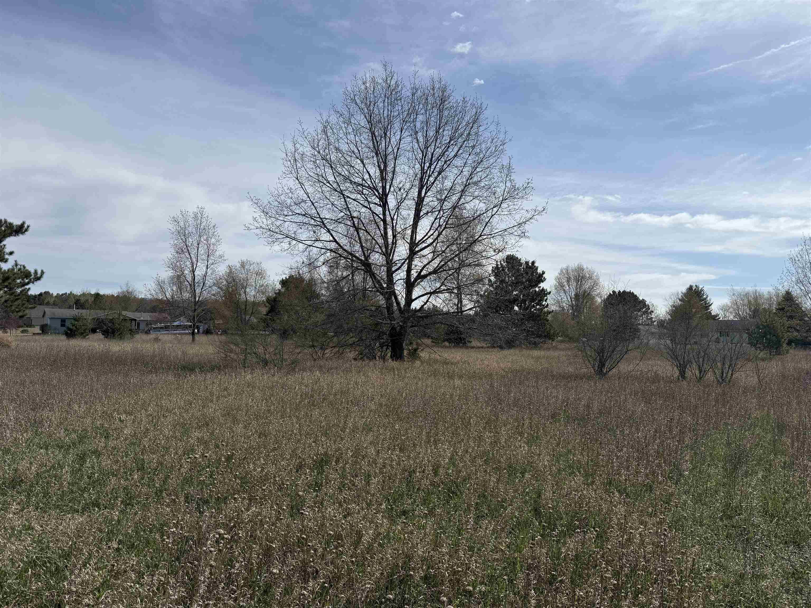 Lake Isabella, MI 48893,1016 Pyrenees DR