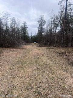 Johannesburg, MI 49751,VL Big Creek RD