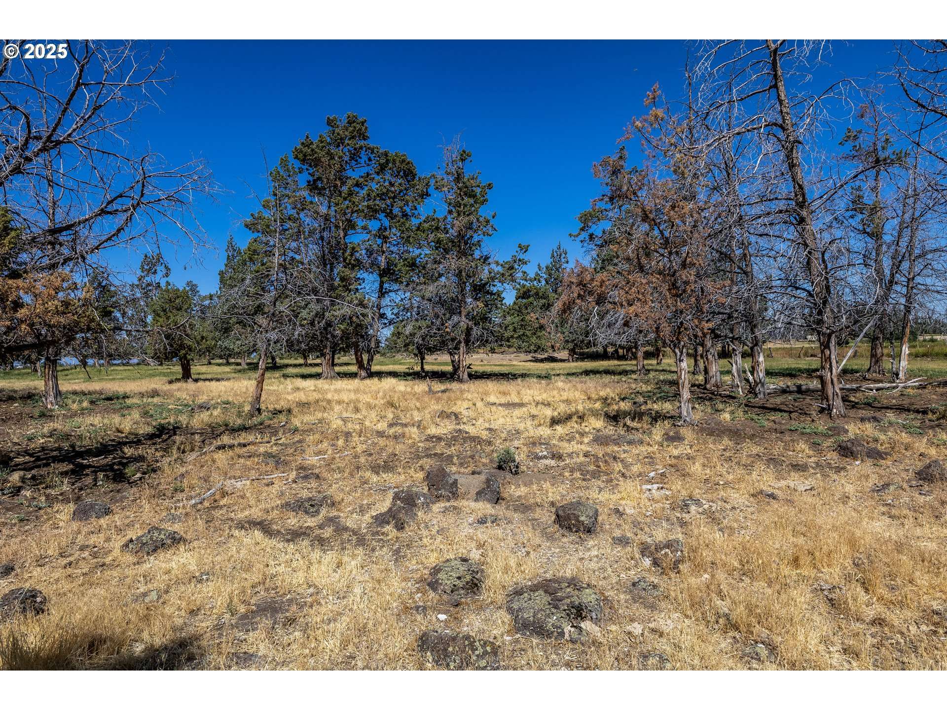 Powell Butte, OR 97753,SW Parrish LN