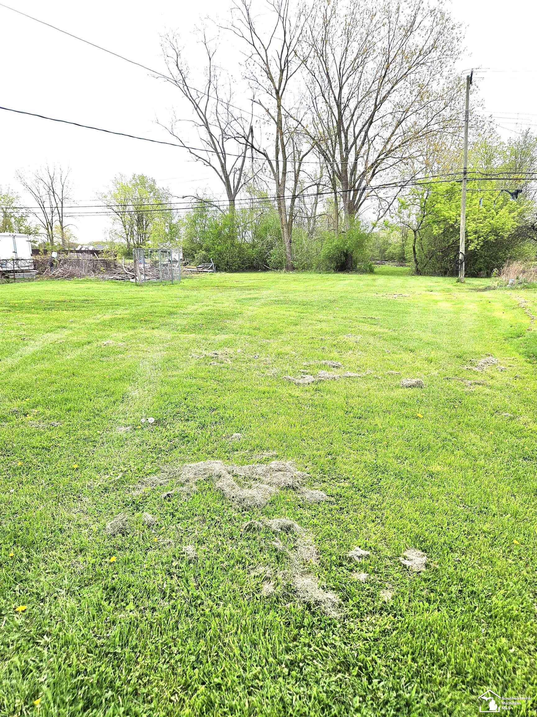 Woodhaven, MI 48183,26897 Reaume ST