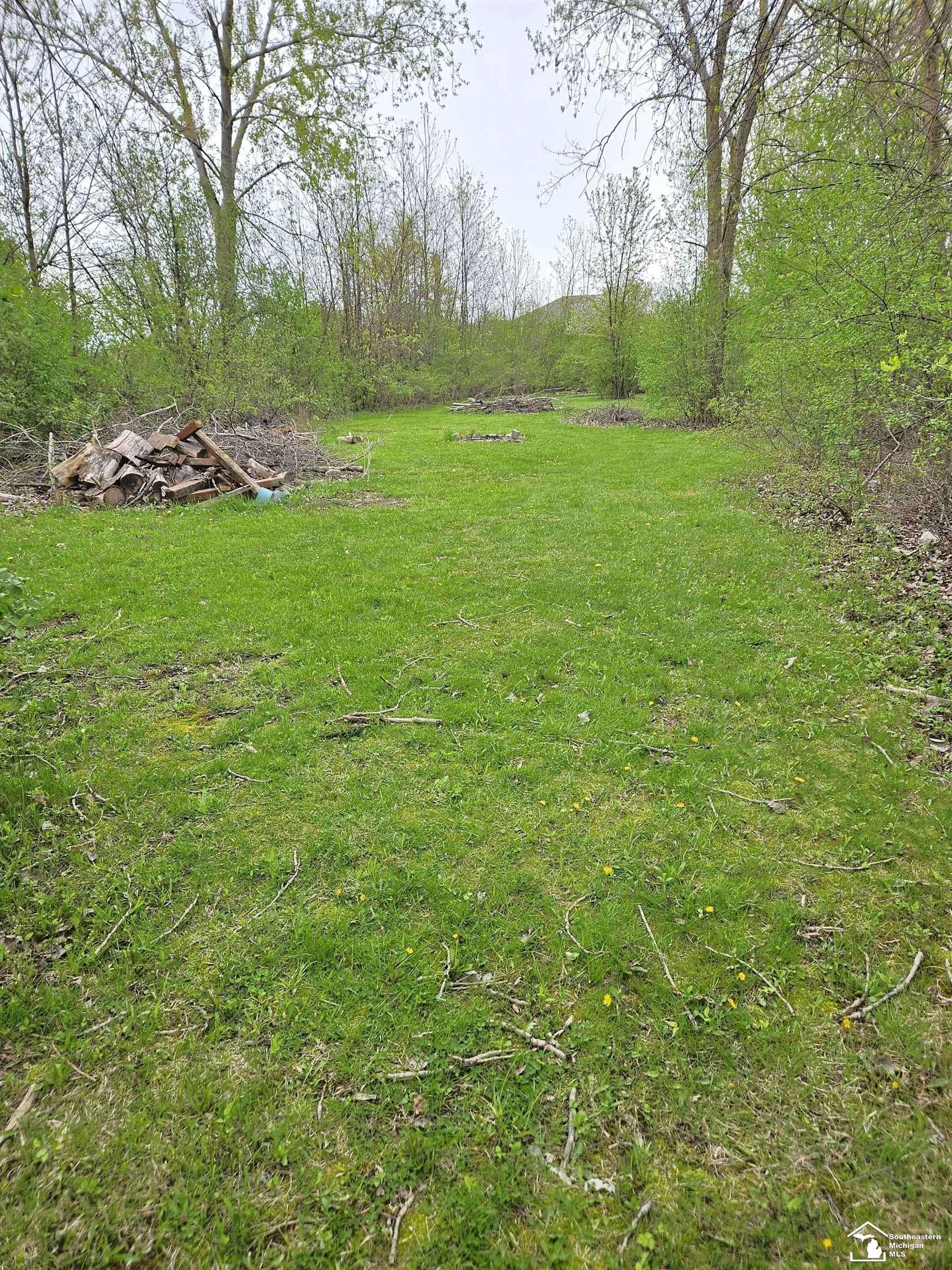 Woodhaven, MI 48183,26897 Reaume ST