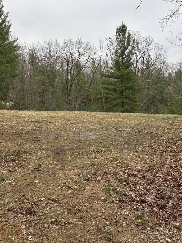 Alger, MI 48610,VL Pineview CT