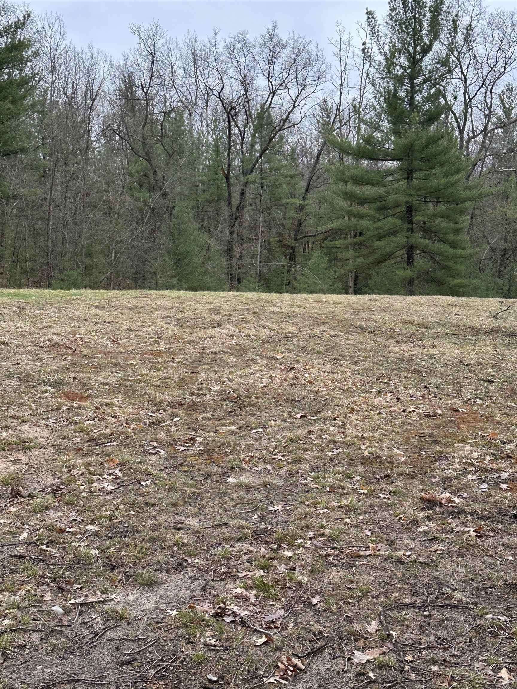 Alger, MI 48610,VL Pineview CT