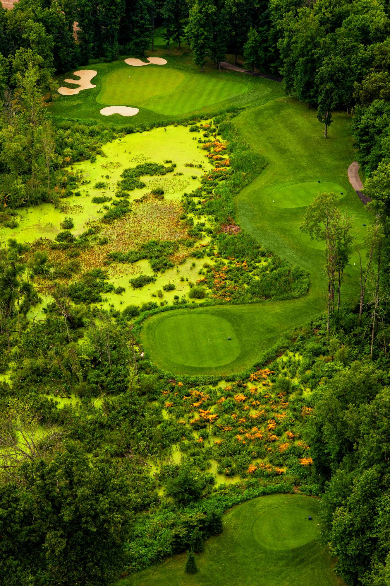 Centreville, MI 49032,61809 Stonegate, Island Hills GC DR