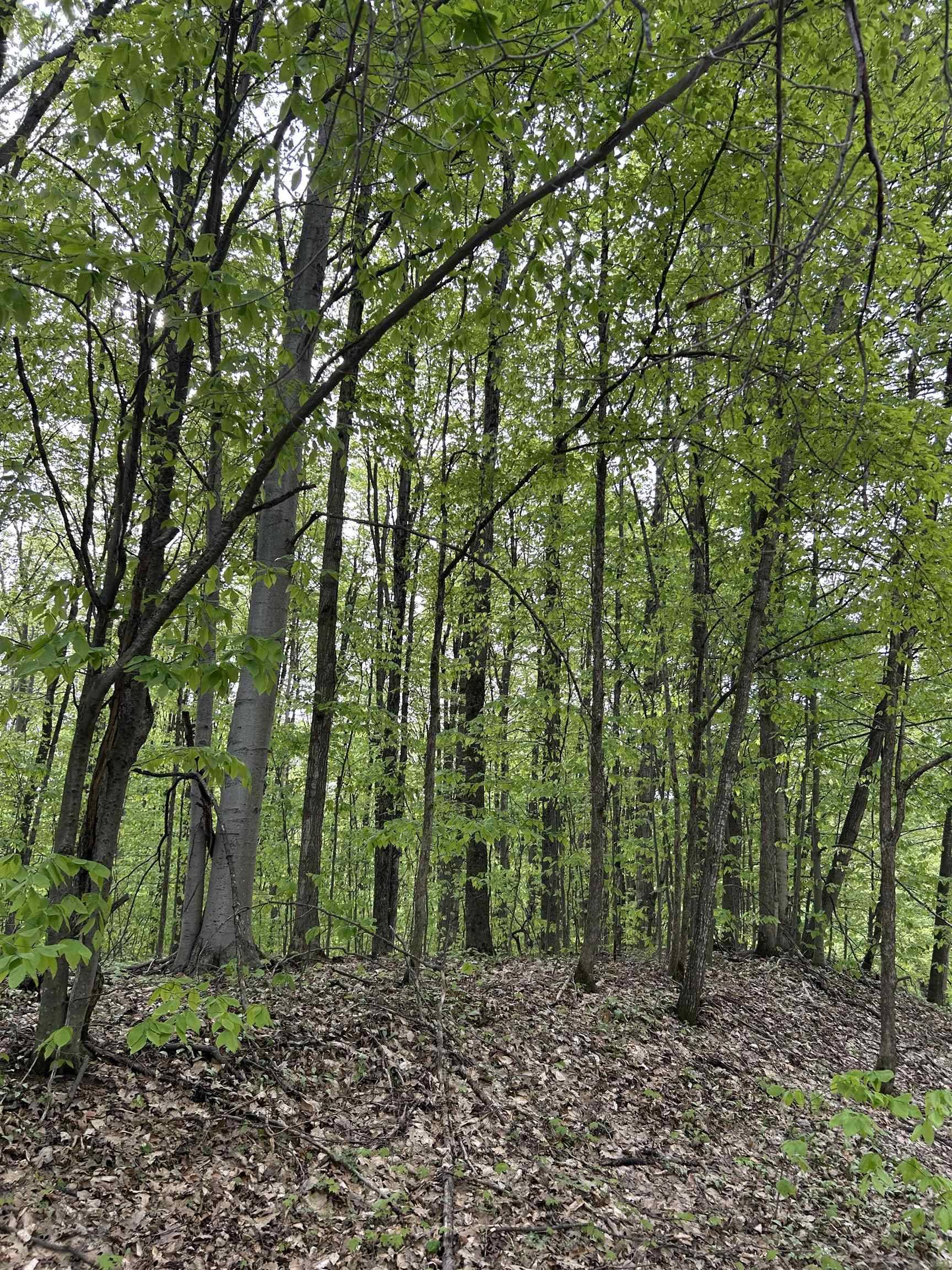 Bellaire, MI 49615,Lot 276 Valleywood DR