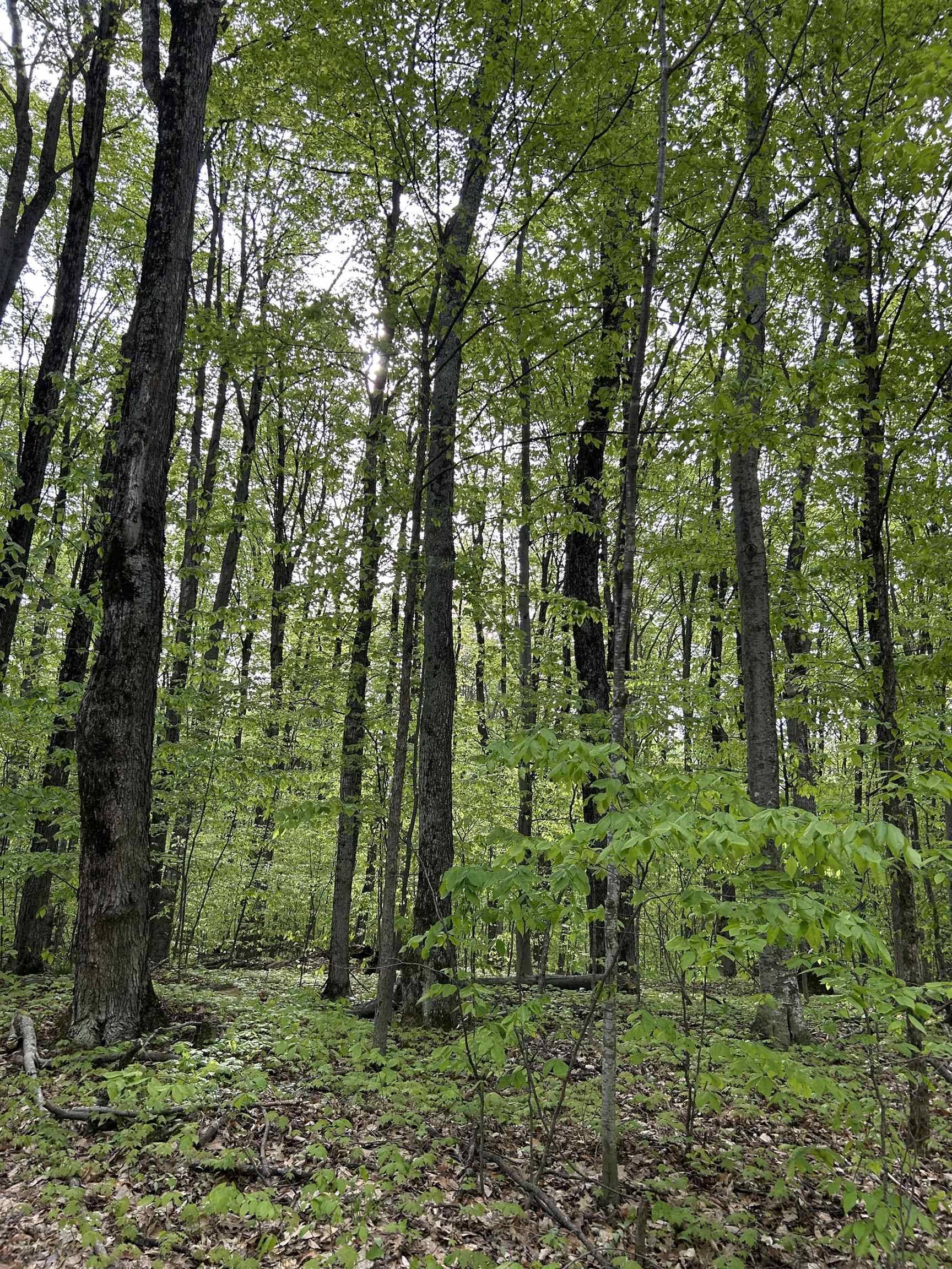 Bellaire, MI 49615,Lot 276 Valleywood DR