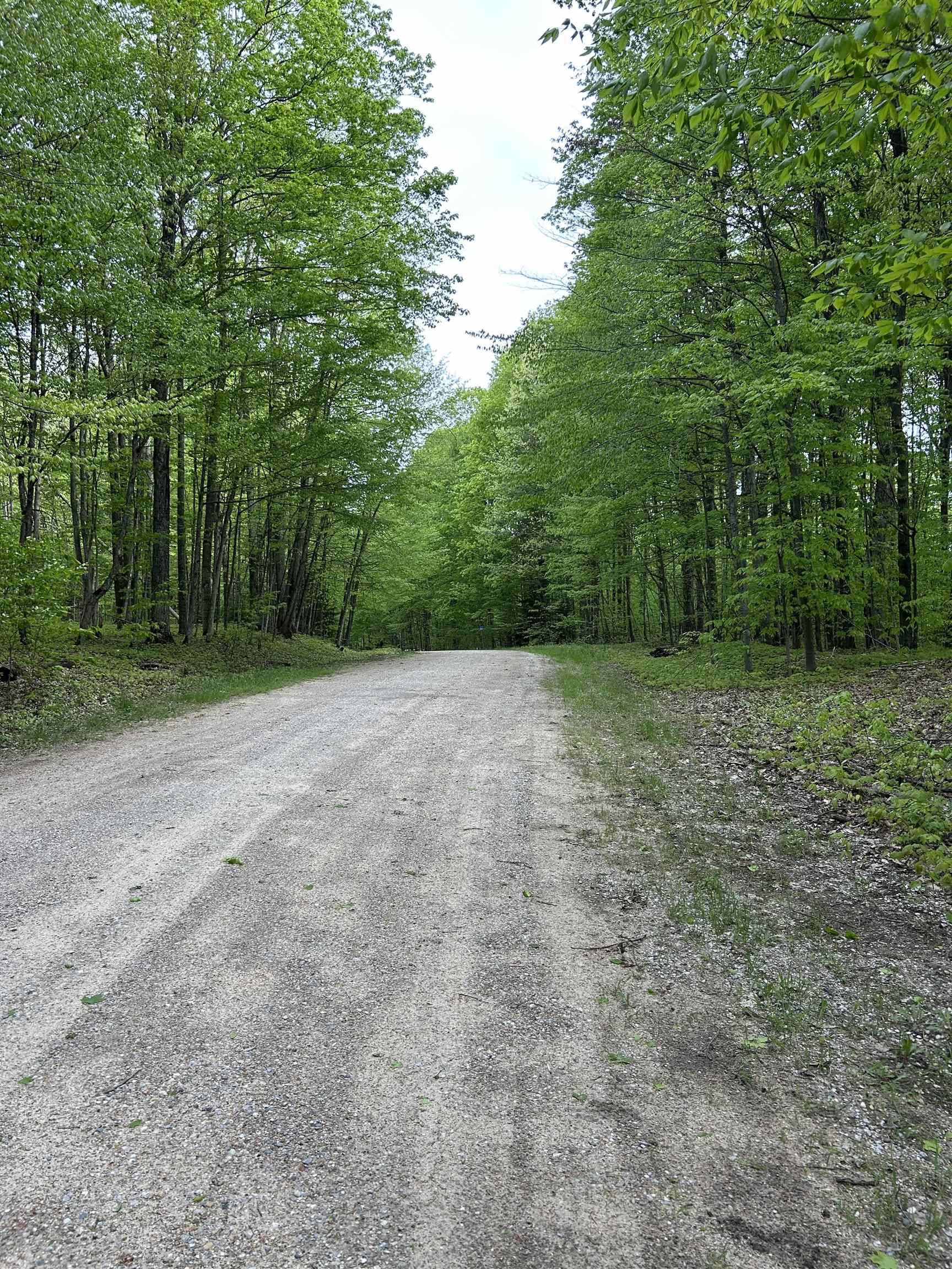 Bellaire, MI 49615,Lot 276 Valleywood DR