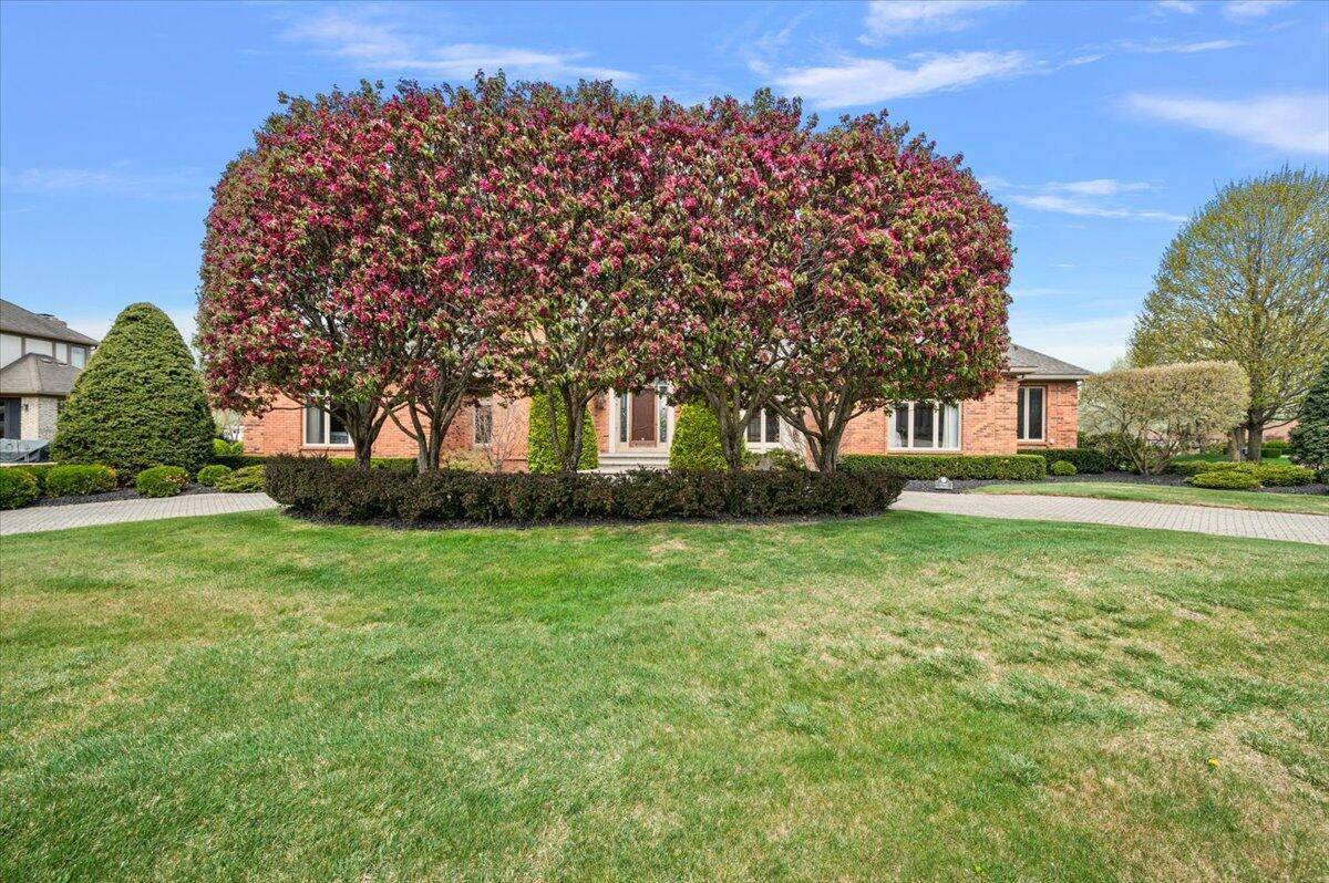 Clinton Twp, MI 48036,17943 Viola LN