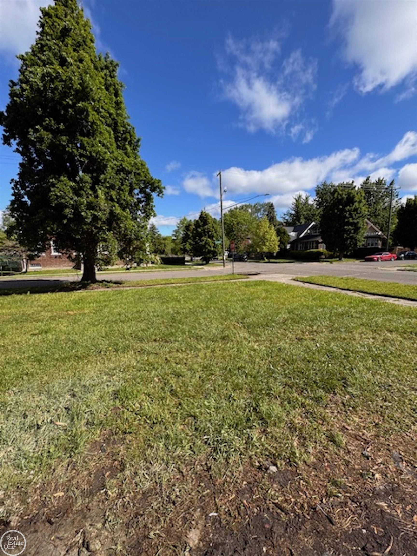 Detroit, MI 48215,395 Chalmers ST