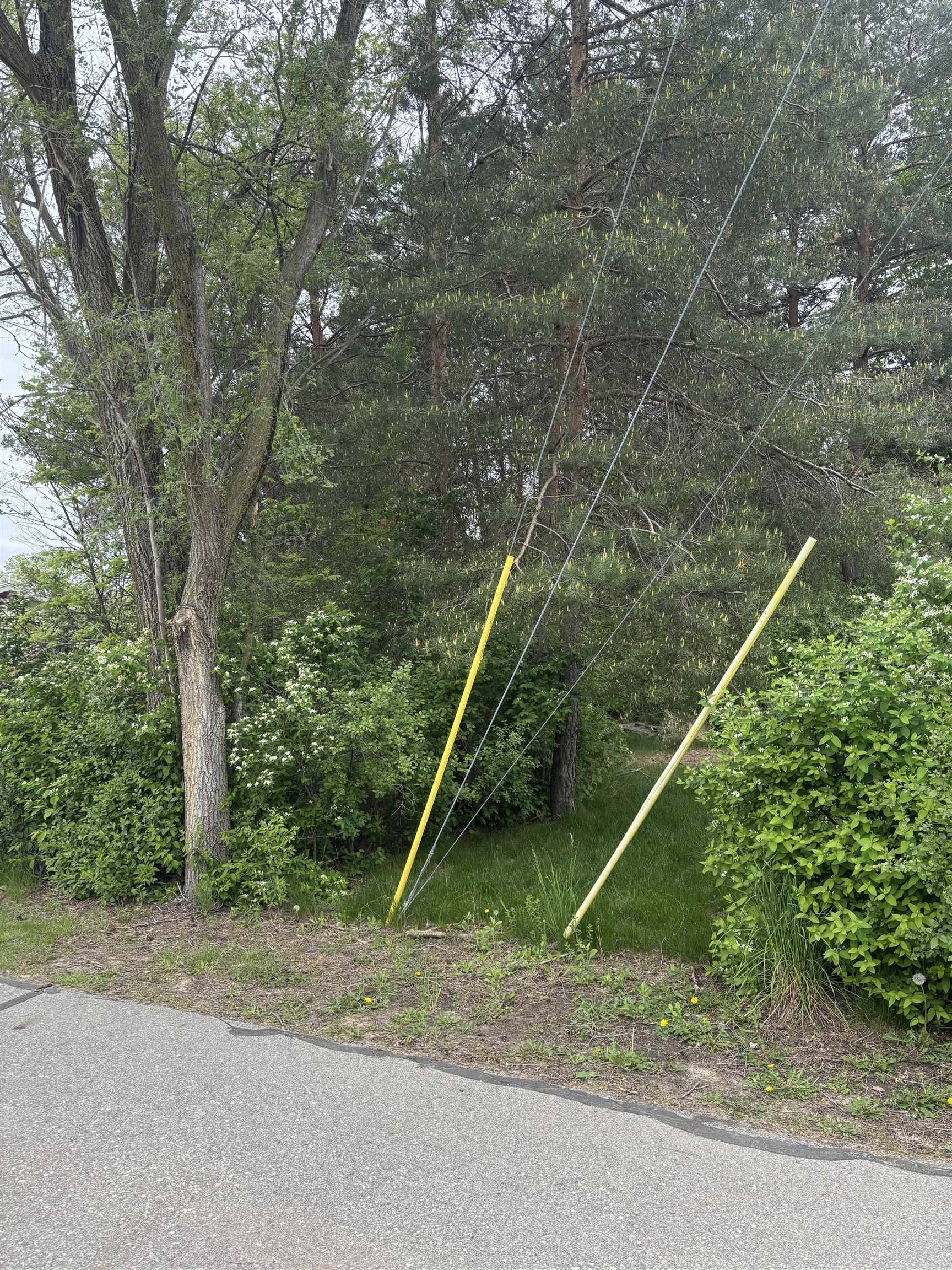 Mount Pleasant, MI 48858,Lot 49 Leona DR