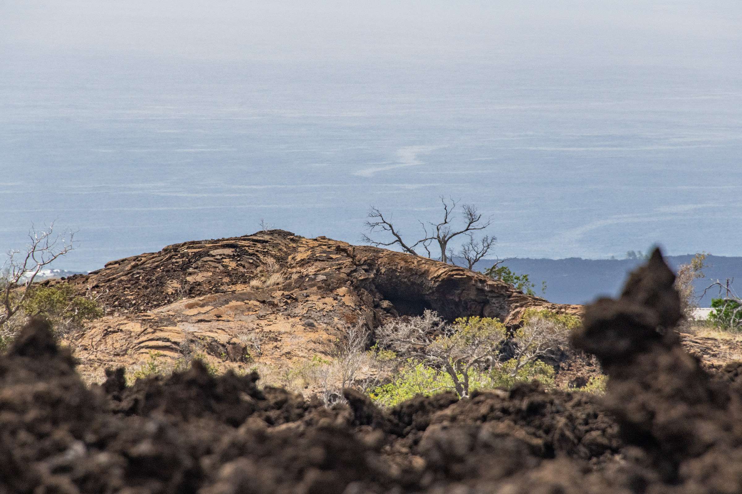 Ocean View, HI 96737,JACARANDA DR