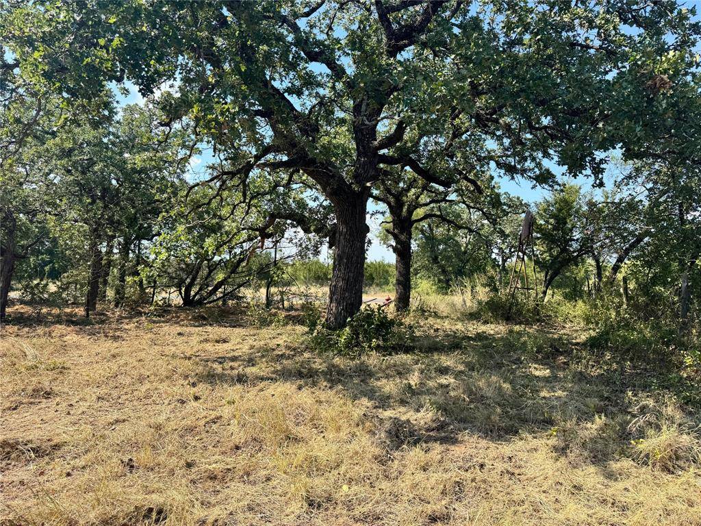 Ranger, TX 76470,000 FM 571