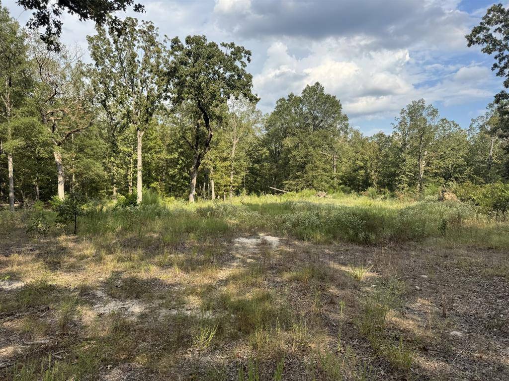 Blossom, TX 75416,TBD PR 45615