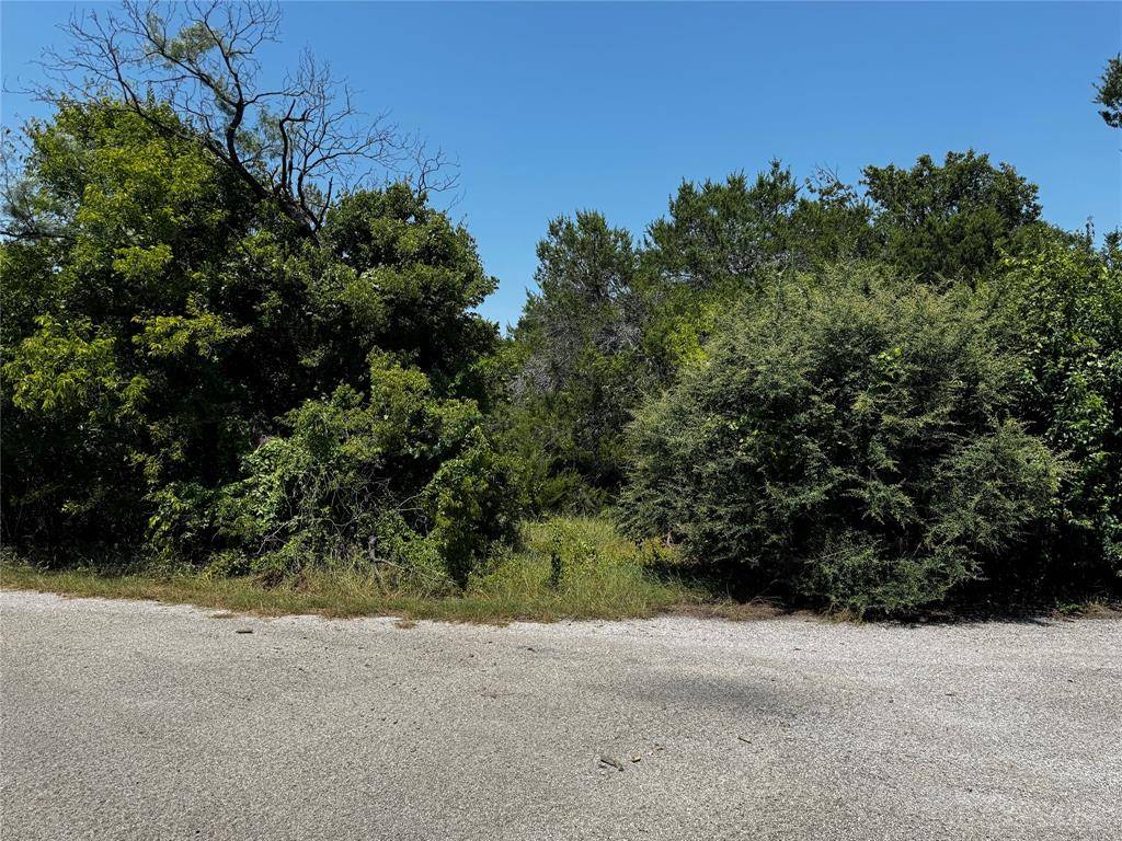 Granbury, TX 76048,4203 Taos Court