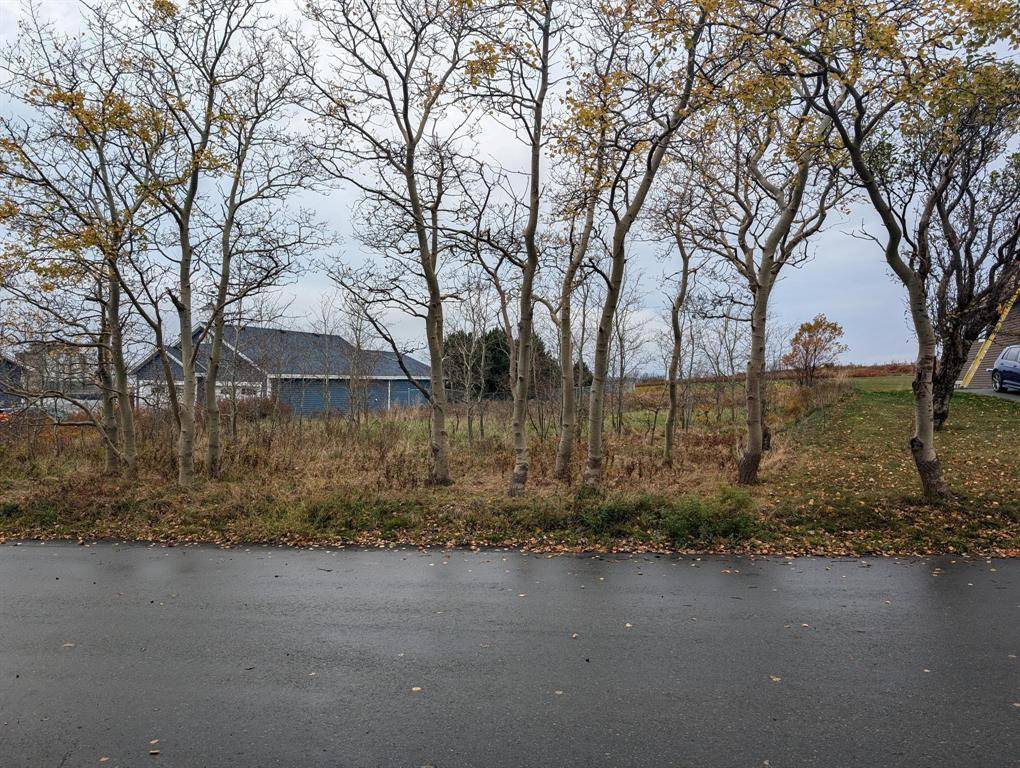 Conception Bay South, NL A1W4X4,30 Baird's Lane