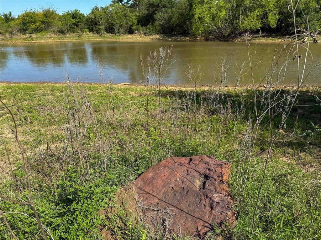 Milano, TX 76556,TBD Highway 36