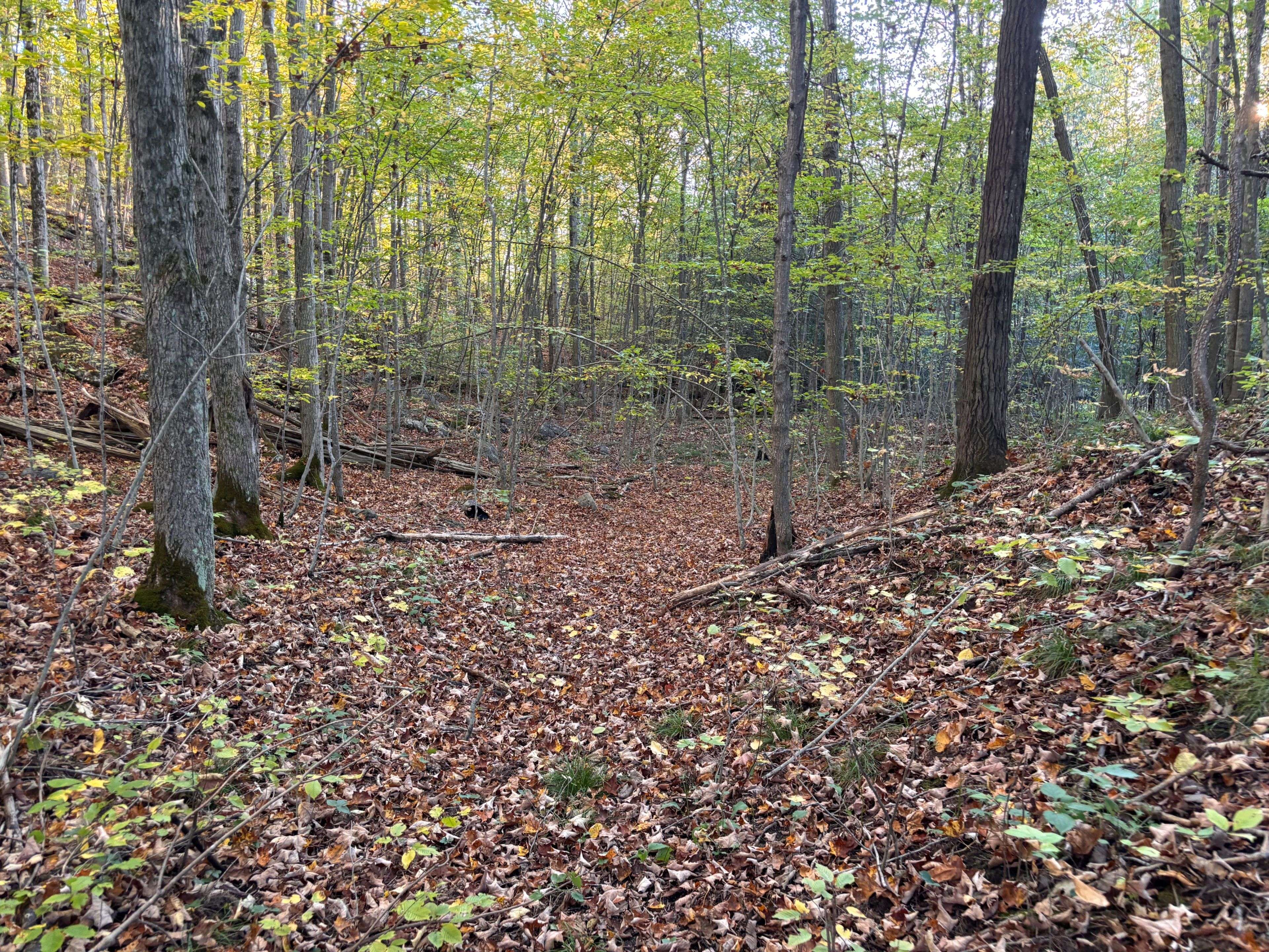 Tyendinaga, ON K0K 2Y0,PT LT 29-30 Naphan RD