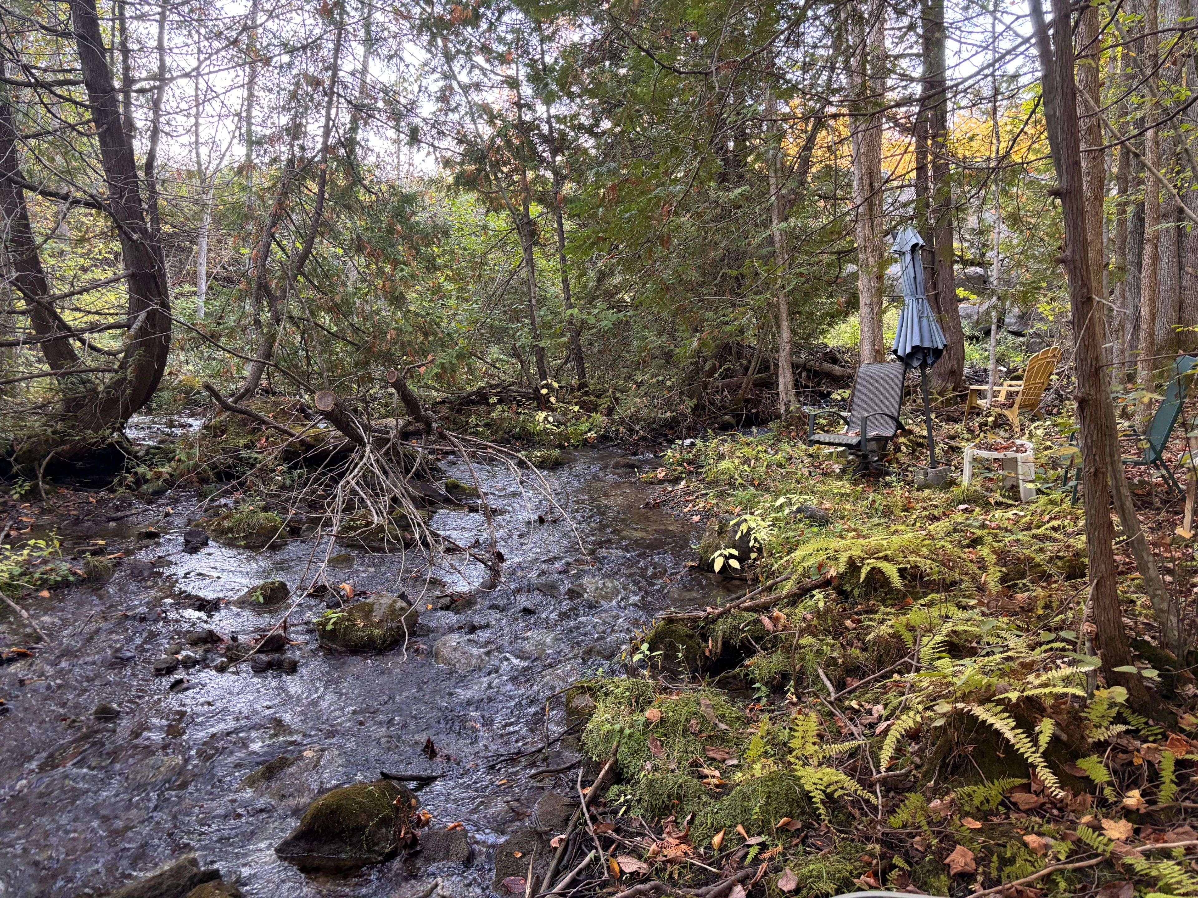 Tyendinaga, ON K0K 2Y0,PT LT 29-30 Naphan RD