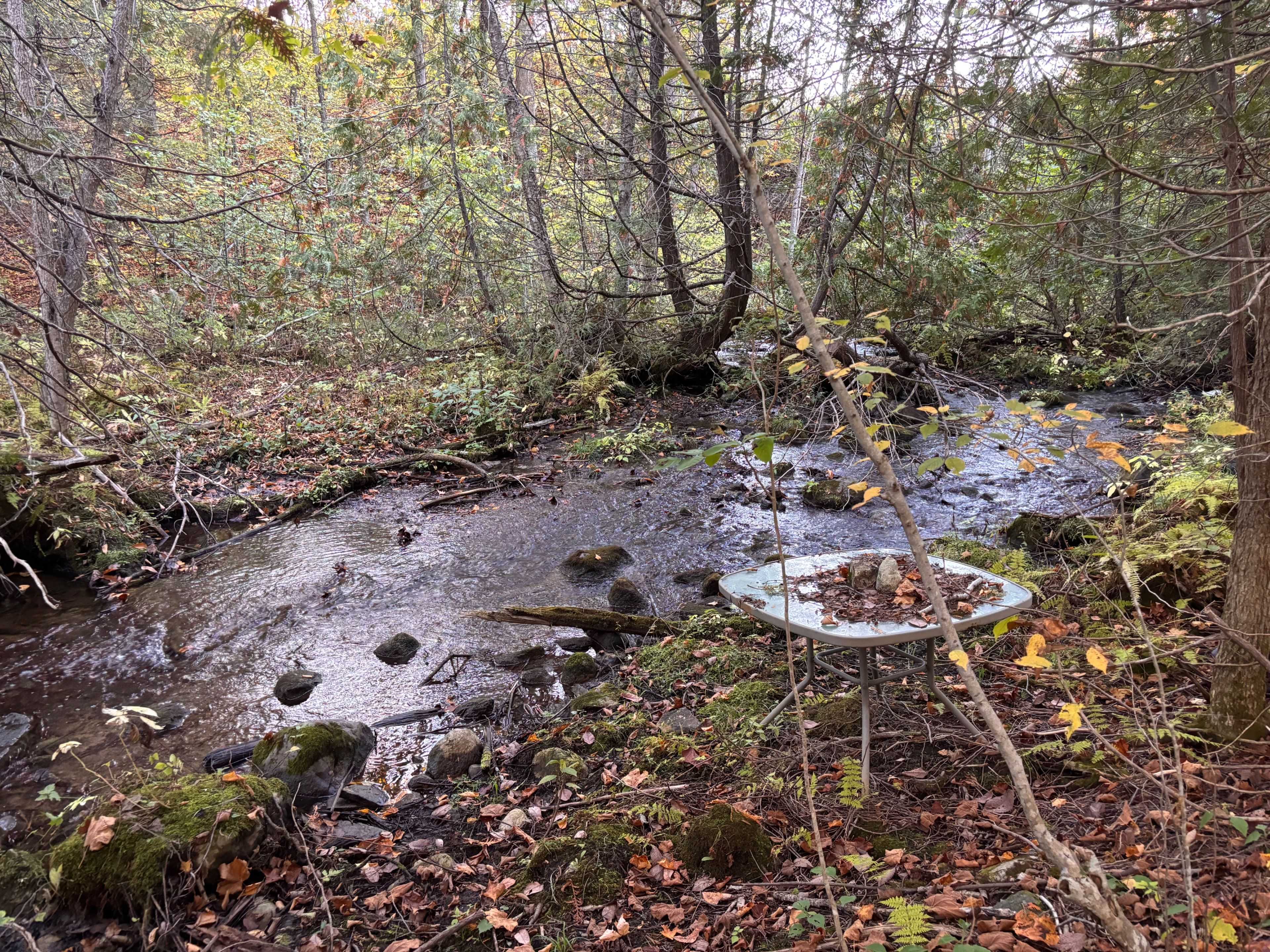 Tyendinaga, ON K0K 2Y0,PT LT 29-30 Naphan RD