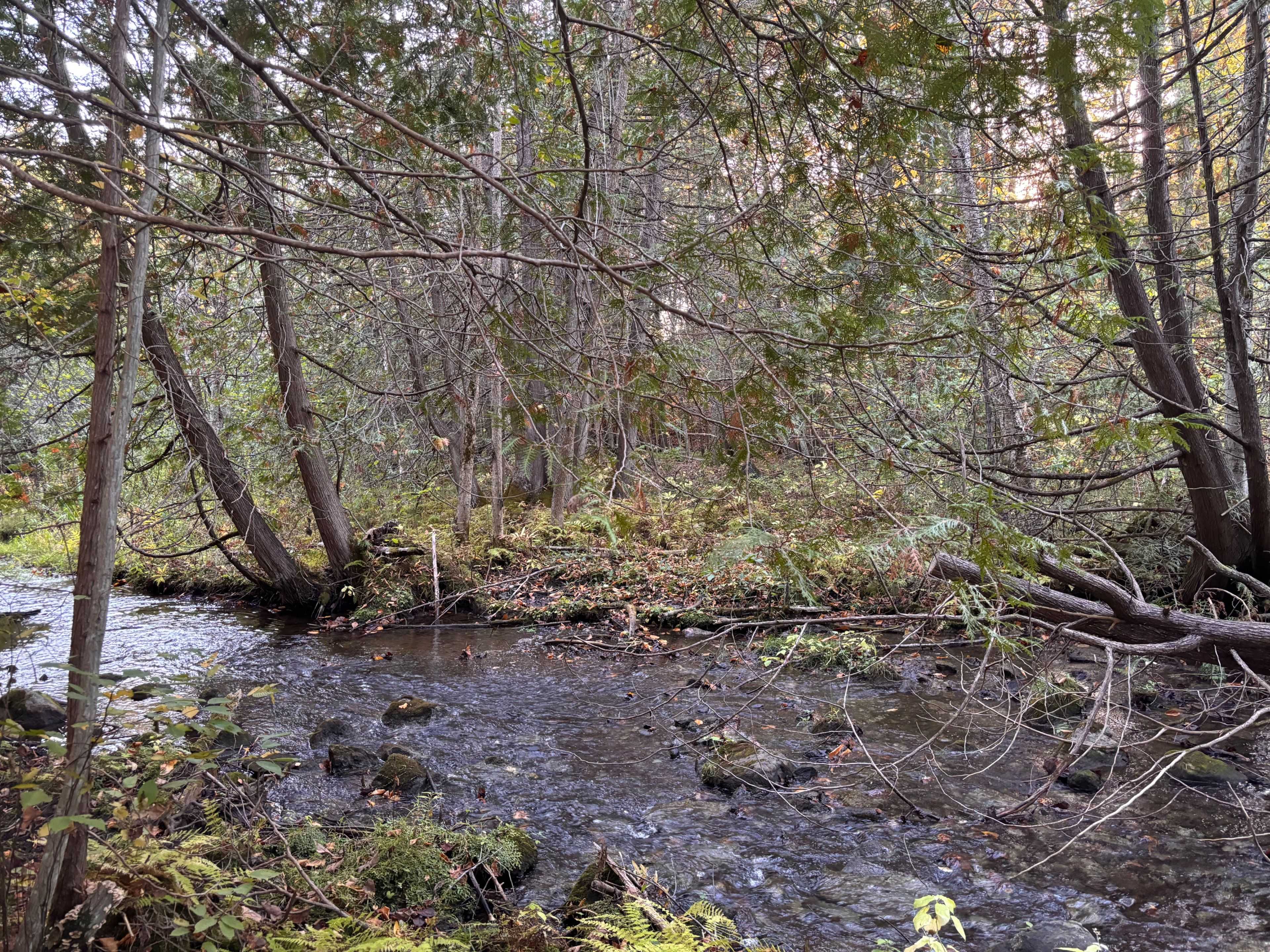 Tyendinaga, ON K0K 2Y0,PT LT 29-30 Naphan RD