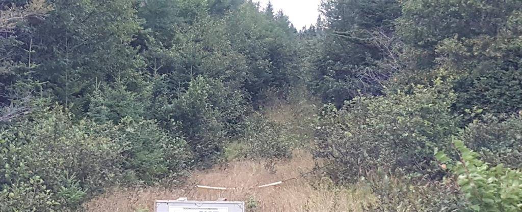 Dunville, P Bay, NL A0B1S0,992B Main Road