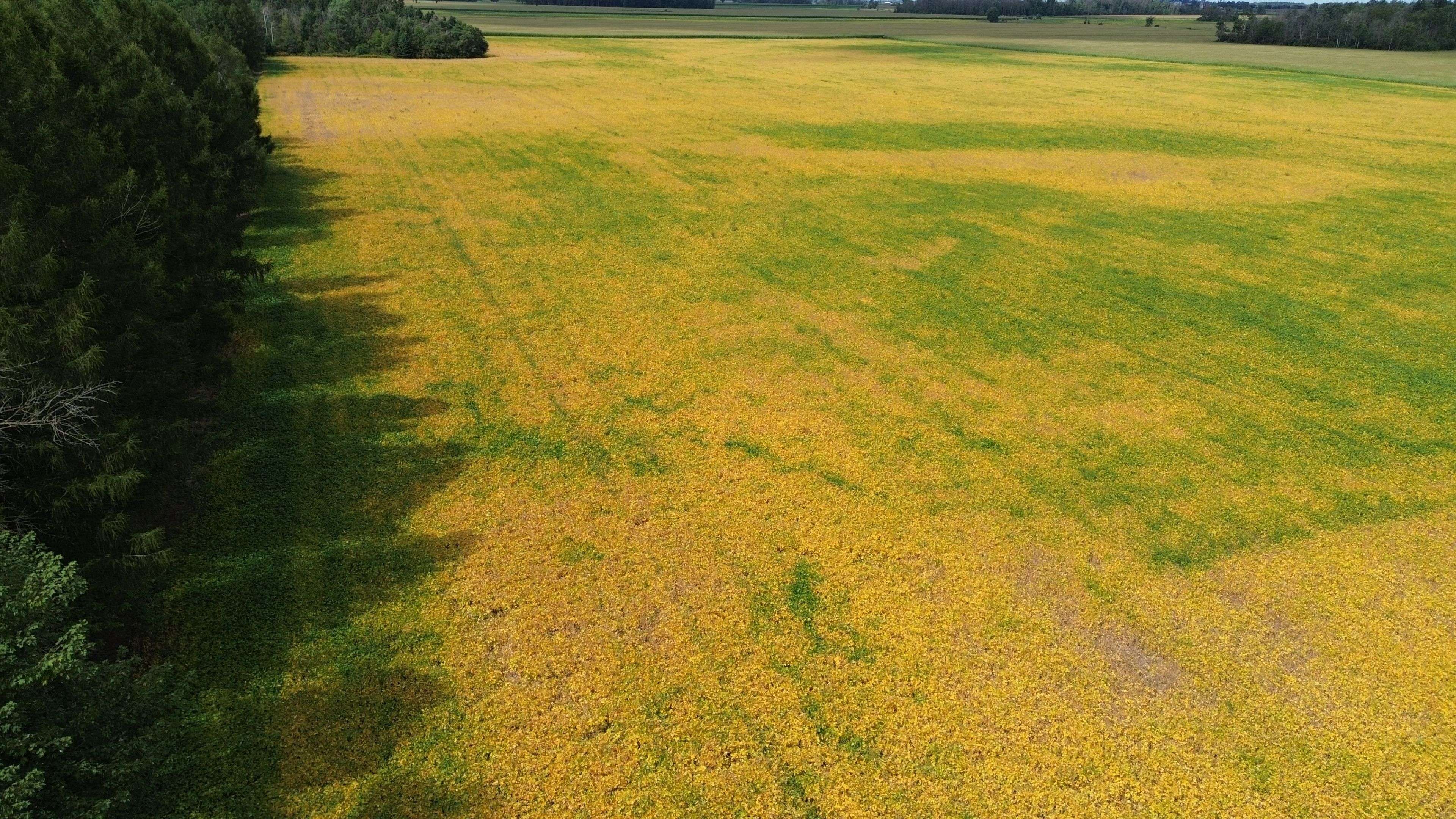 Perth East, ON N4W 3G9,4830 Line 83 N/A