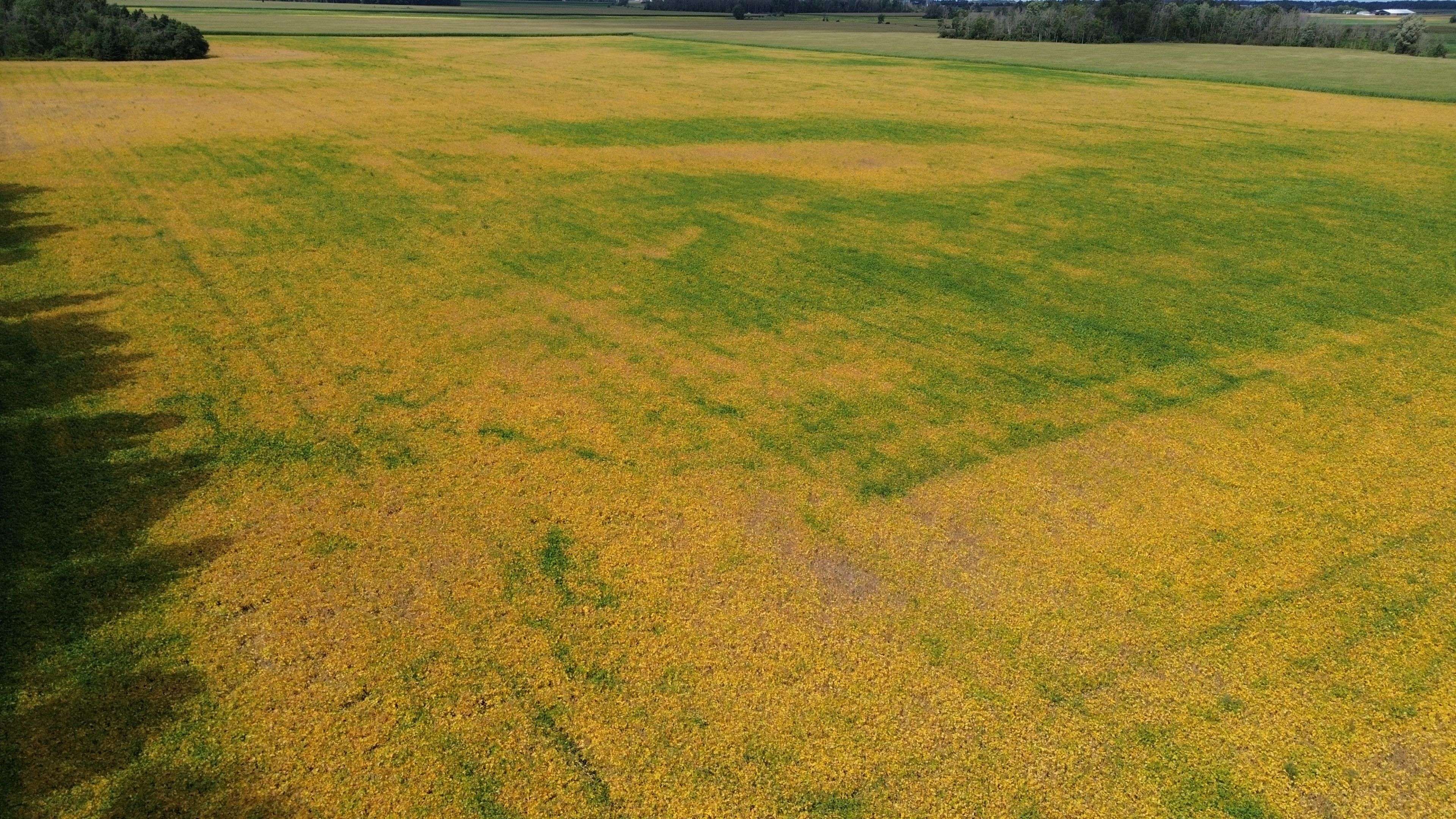 Perth East, ON N4W 3G9,4830 Line 83 N/A