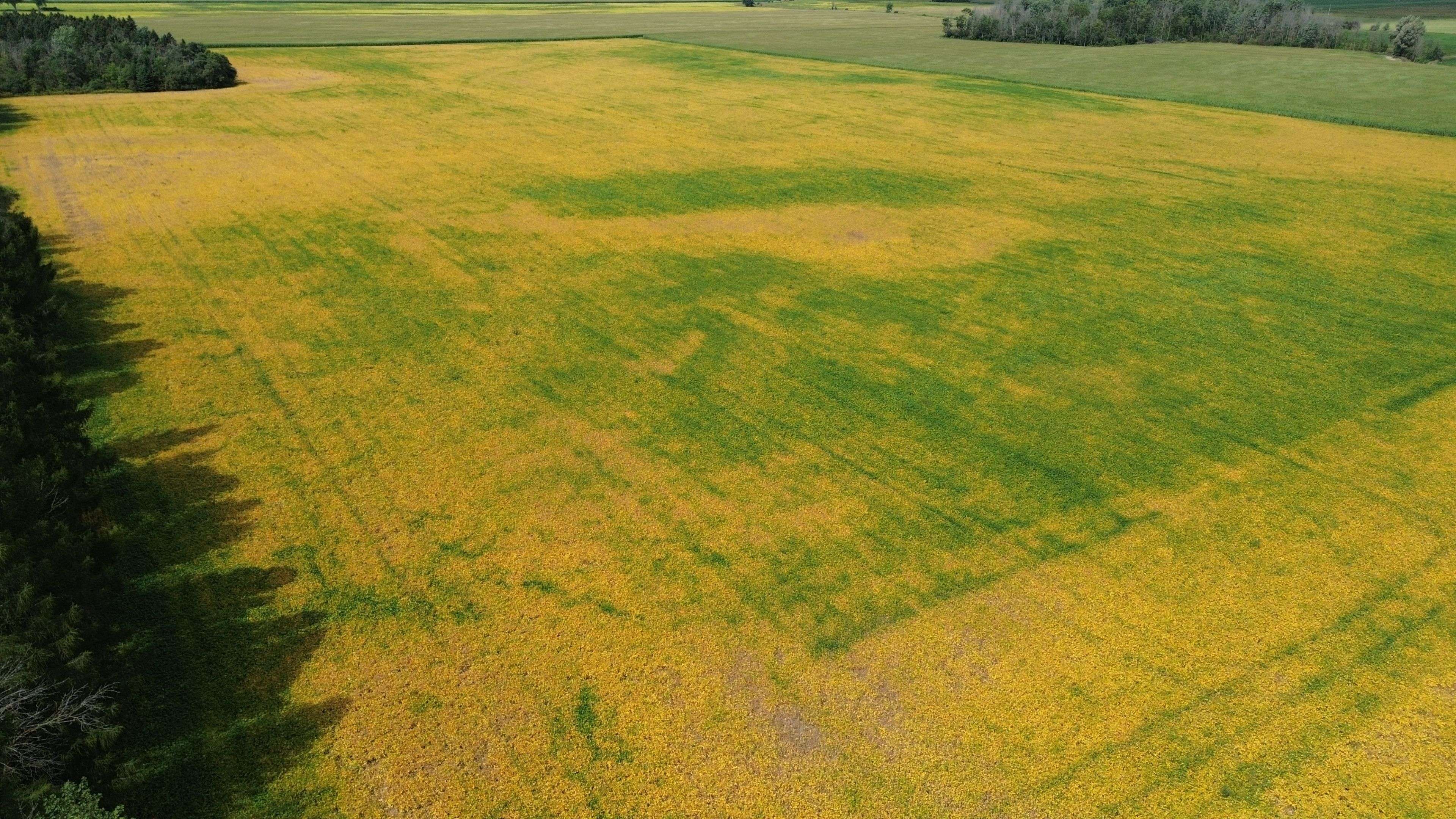 Perth East, ON N4W 3G9,4830 Line 83 N/A