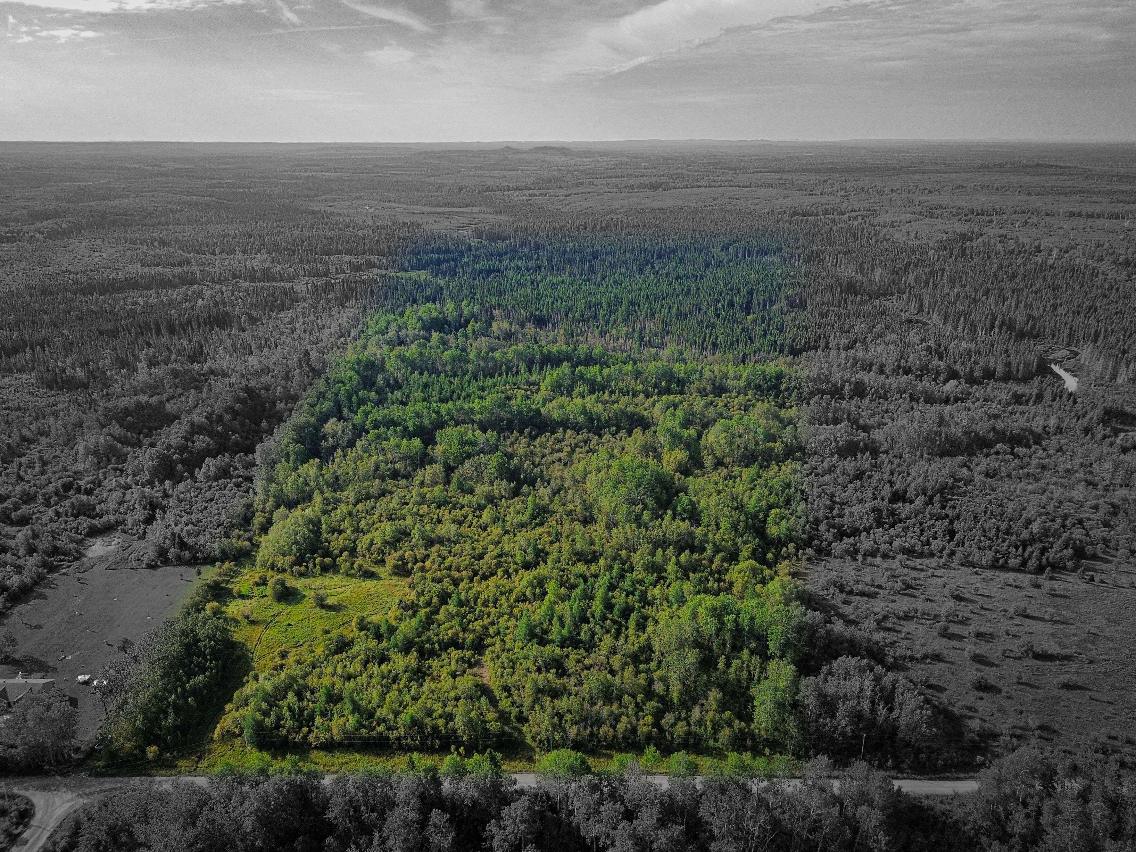 Black River-matheson, ON P0K 1N0,1023 Bobcat RD