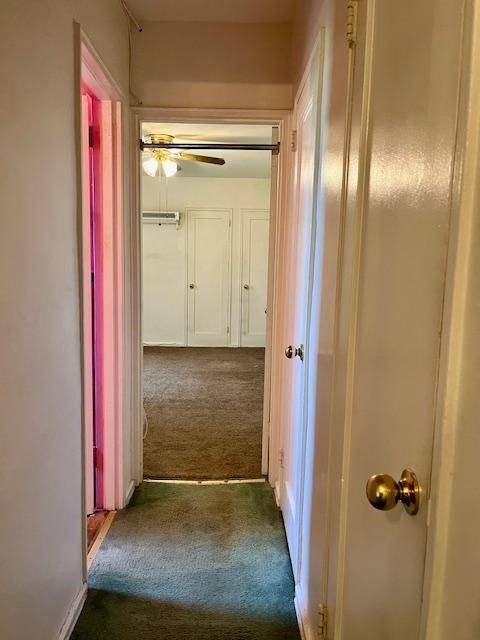 Brooklyn, NY 11229,3021 Avenue Z #2G