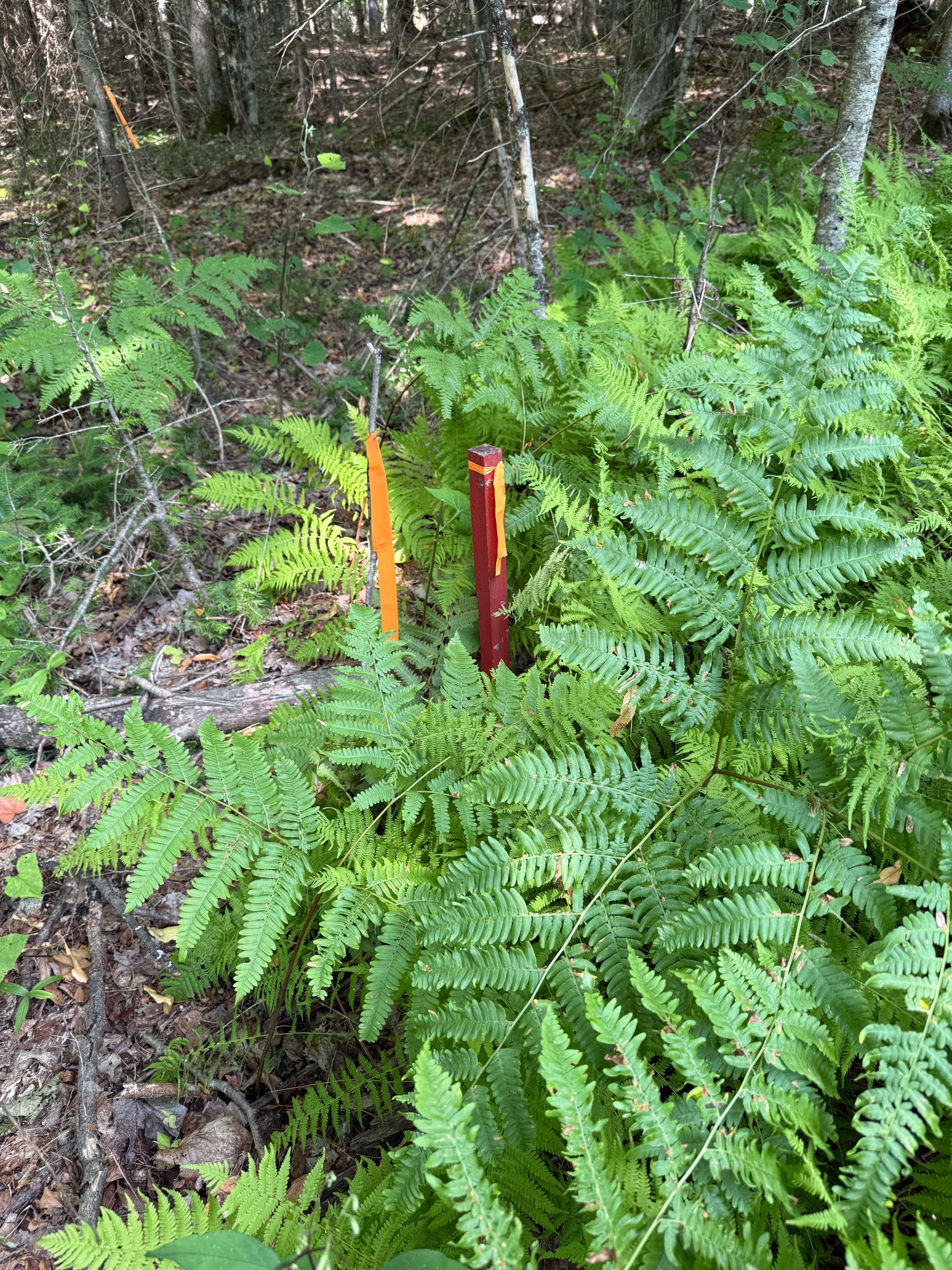 Magnetawan, ON P0A 1Z0,LT 26 Frank St ST