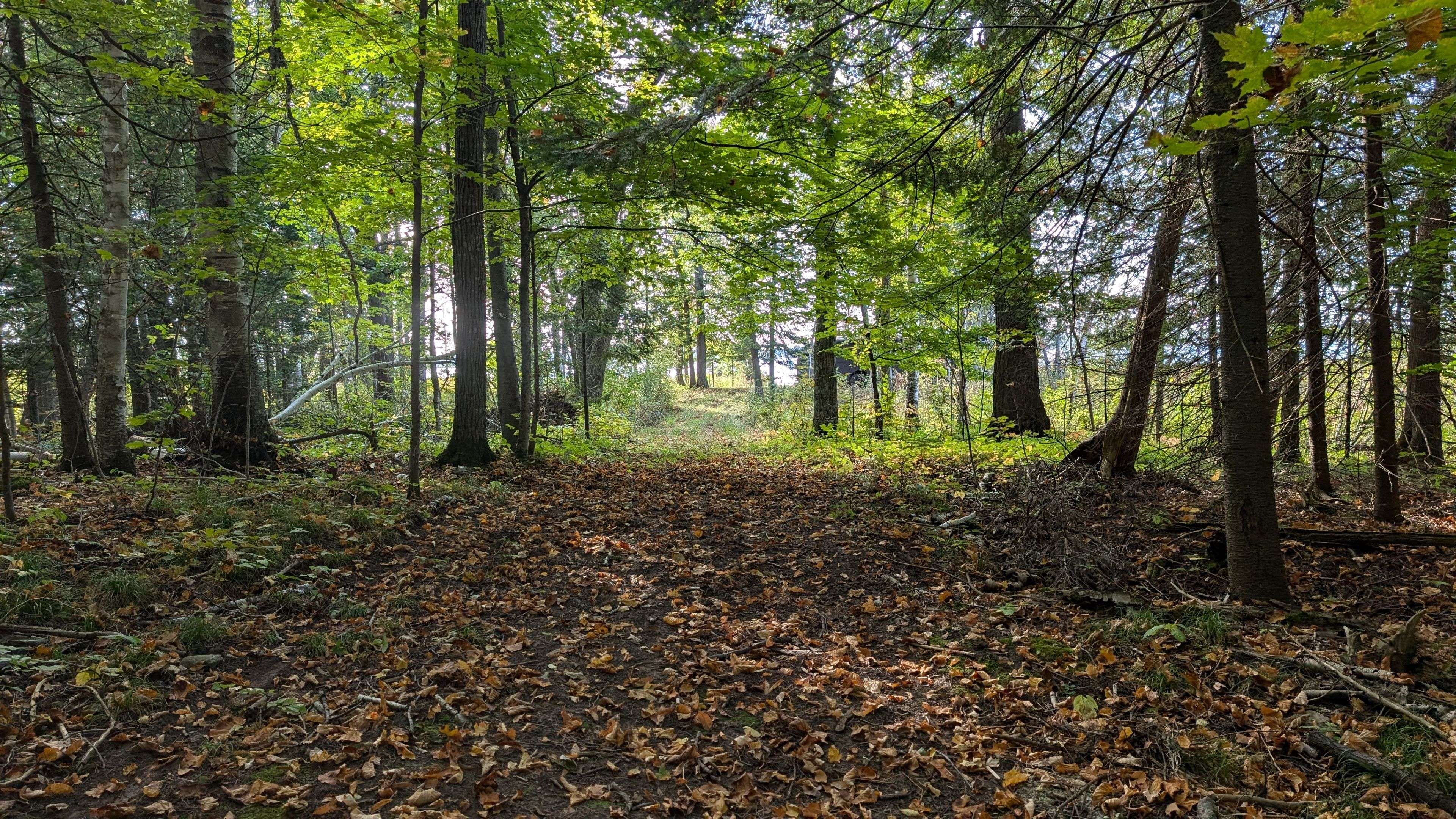 North Glengarry, ON K0C 2J0,N/A Concession 3 RD