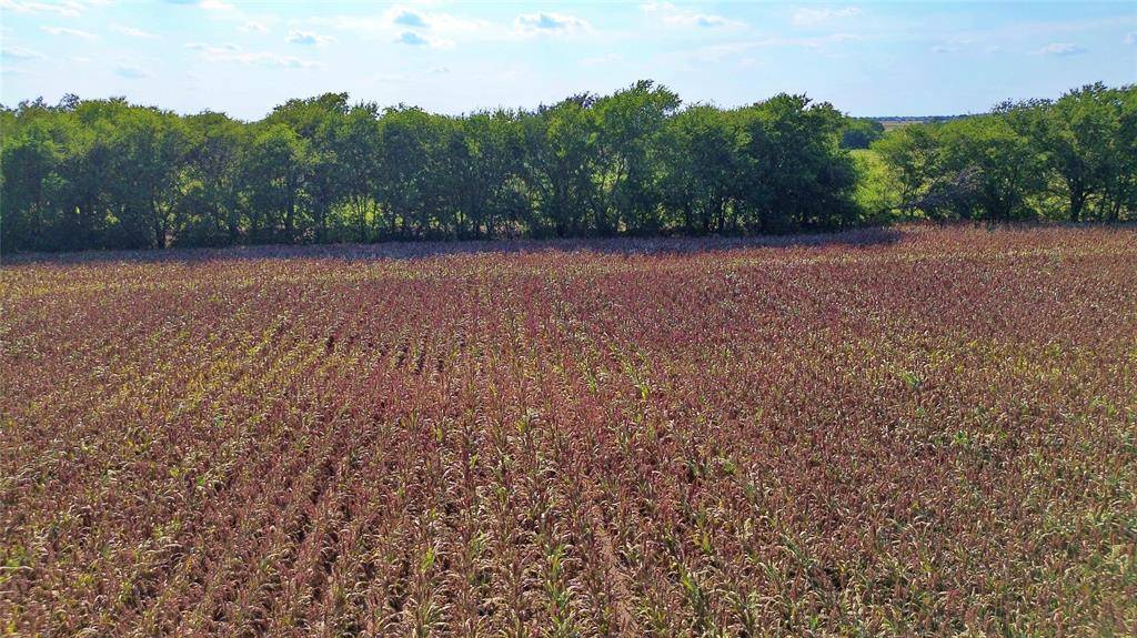 Gainesville, TX 76240,0 CR 237