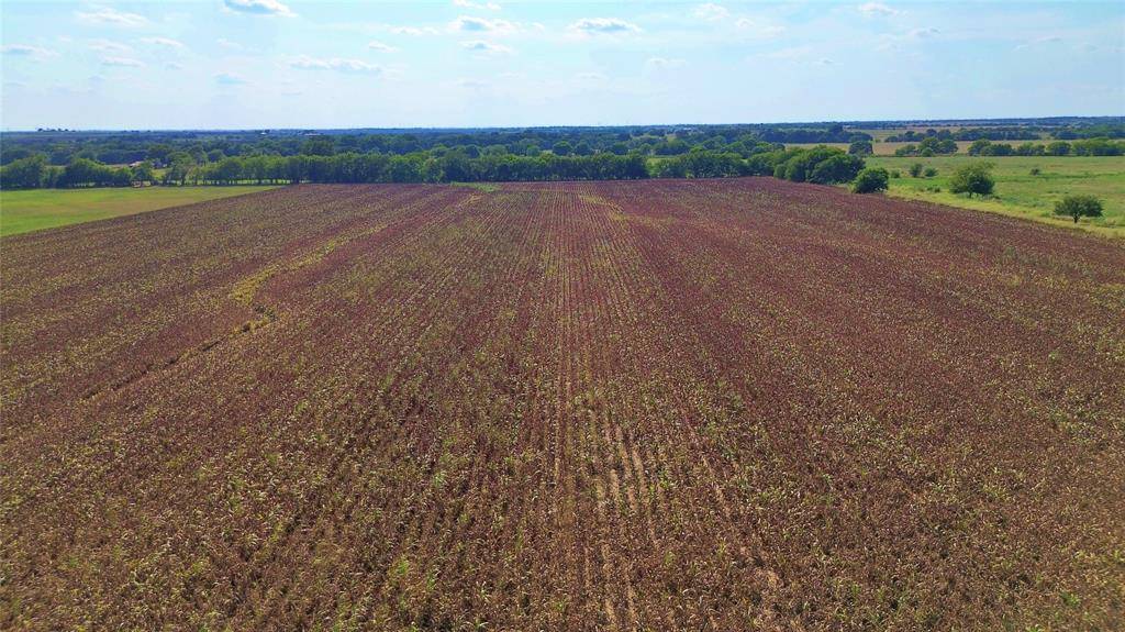 Gainesville, TX 76240,0 CR 237