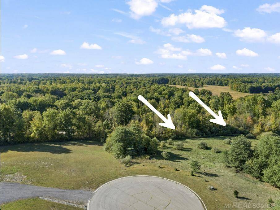 Dryden, MI 48428,0 Abby CT