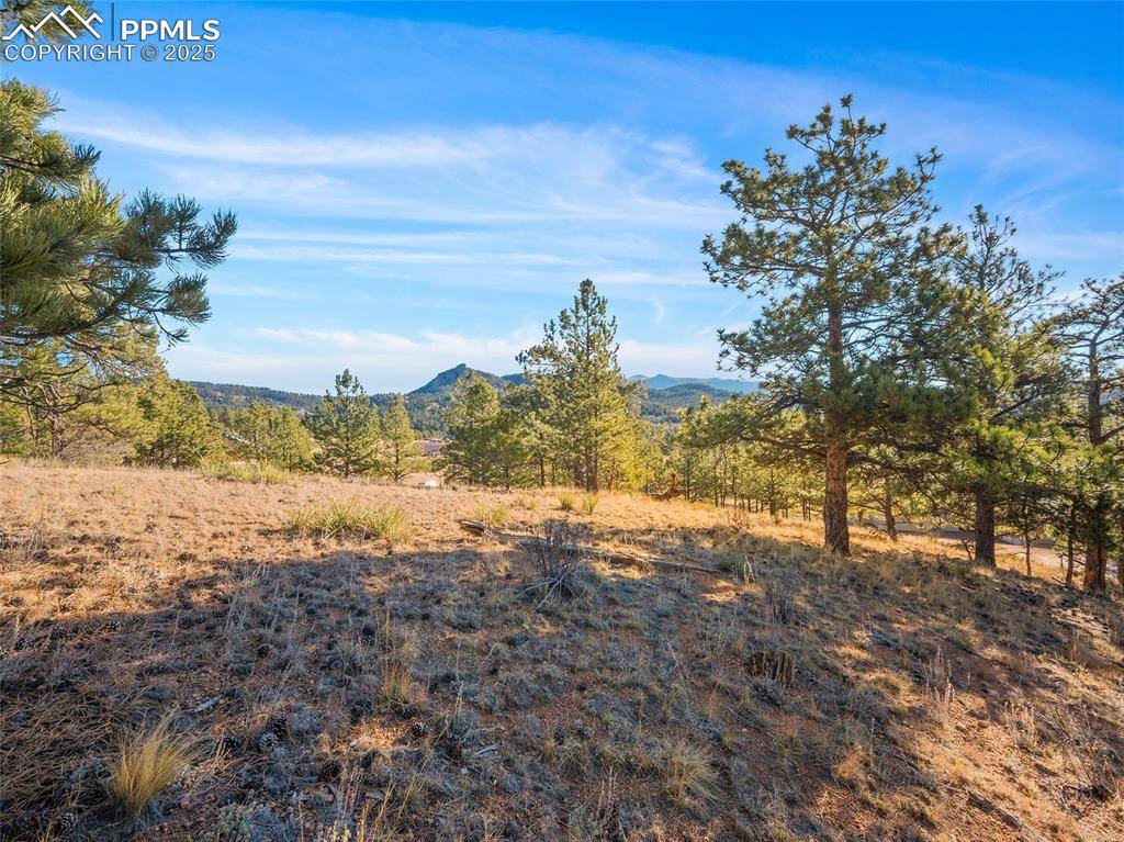 Florissant, CO 80816,2706 Southpark RD