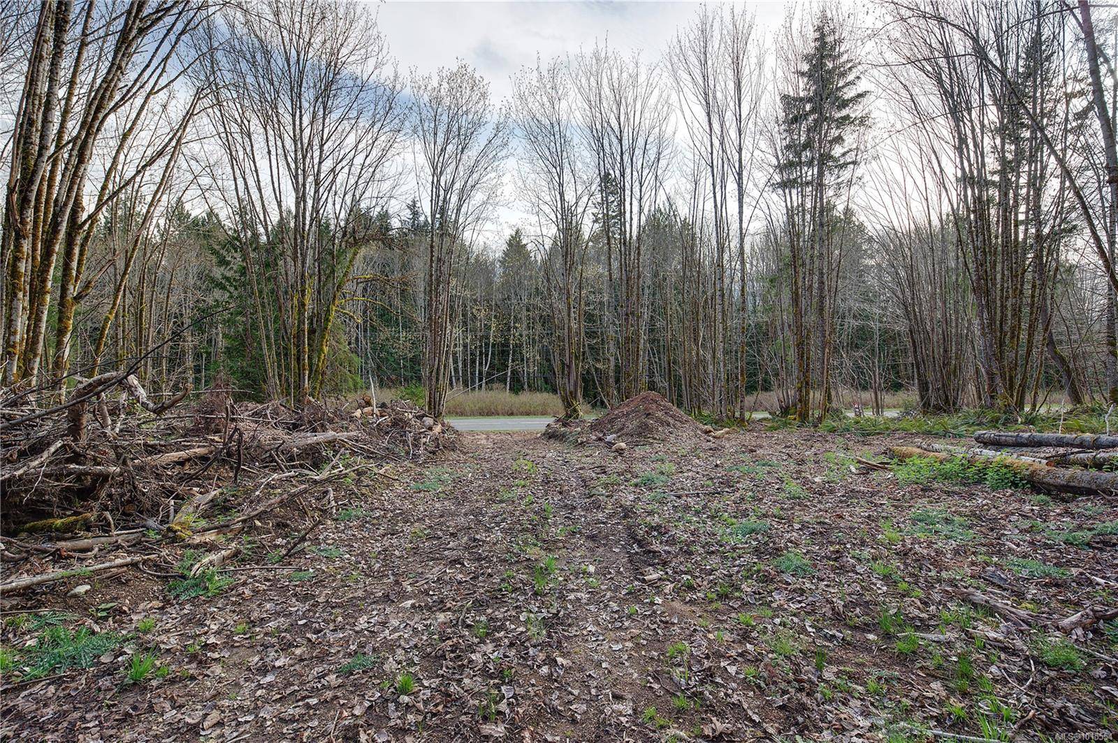 Lake Cowichan, BC V0R 2G0,7531 Cowichan Lake Rd #Lot B