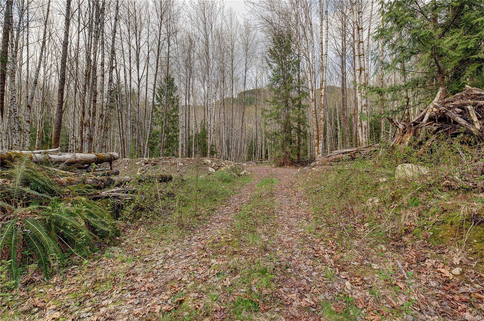 Lake Cowichan, BC V0R 2G0,7531 Cowichan Lake Rd #Lot B