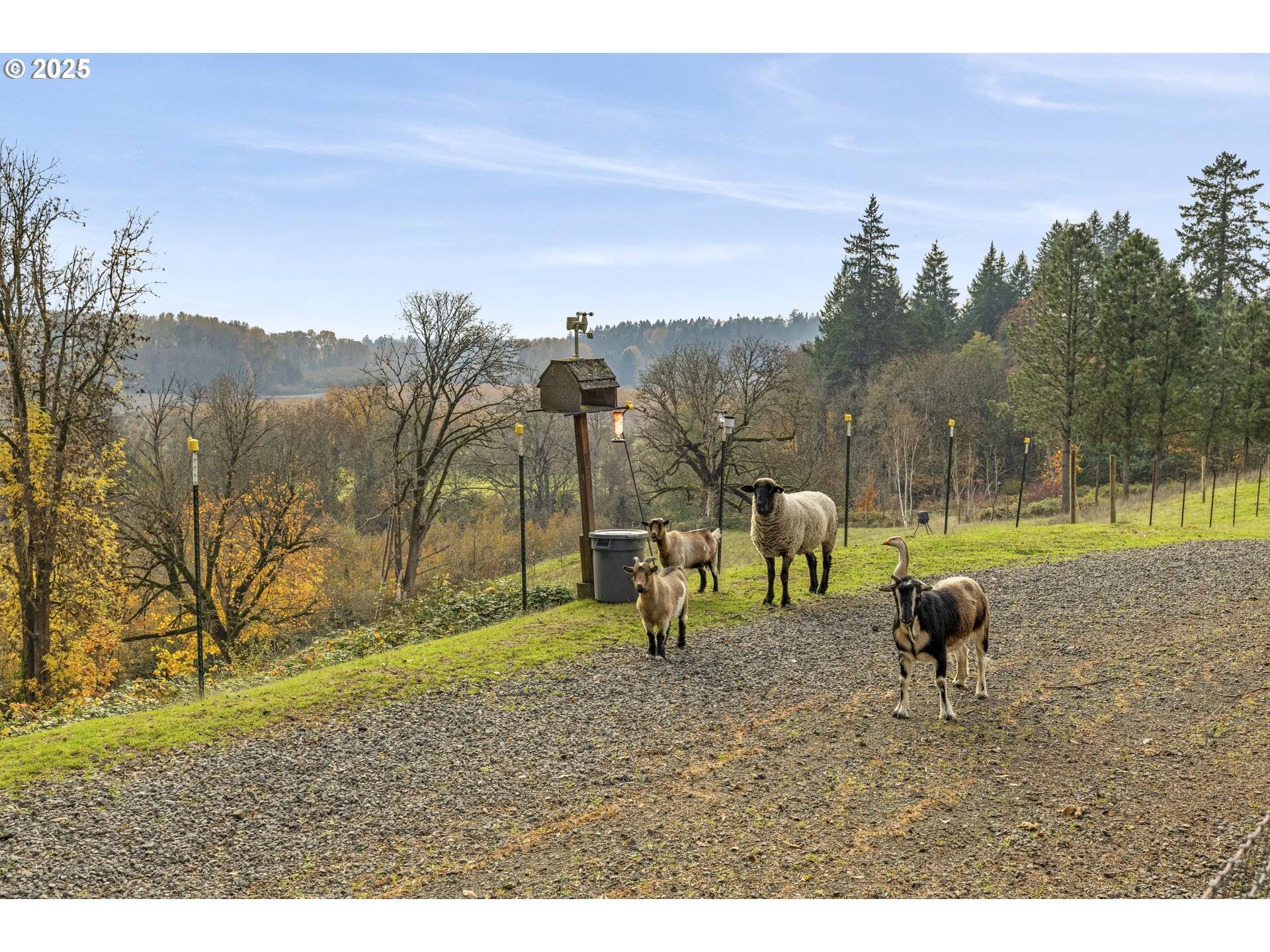 Newberg, OR 97132,1824 NE WATERFRONT ST