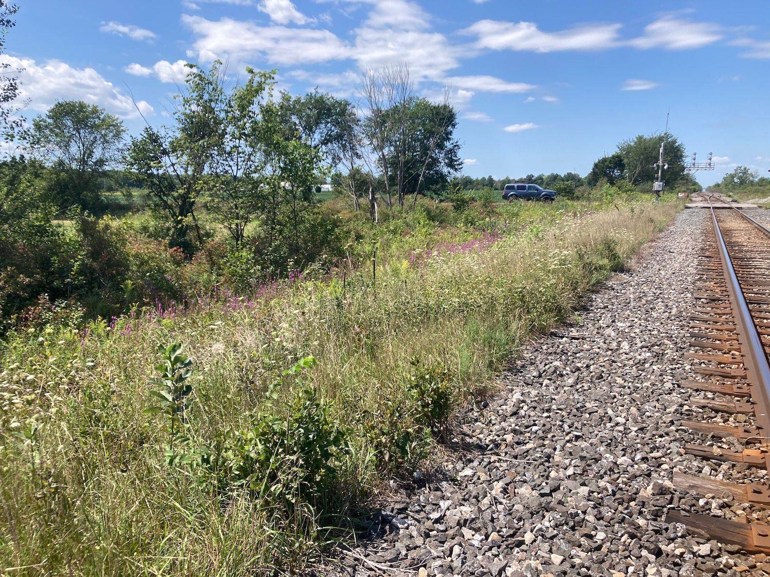 Fort Erie, ON L0S 1S0,PT LT11 CON 15 NIAGARA RIVER BERTIE PT 6 N/A