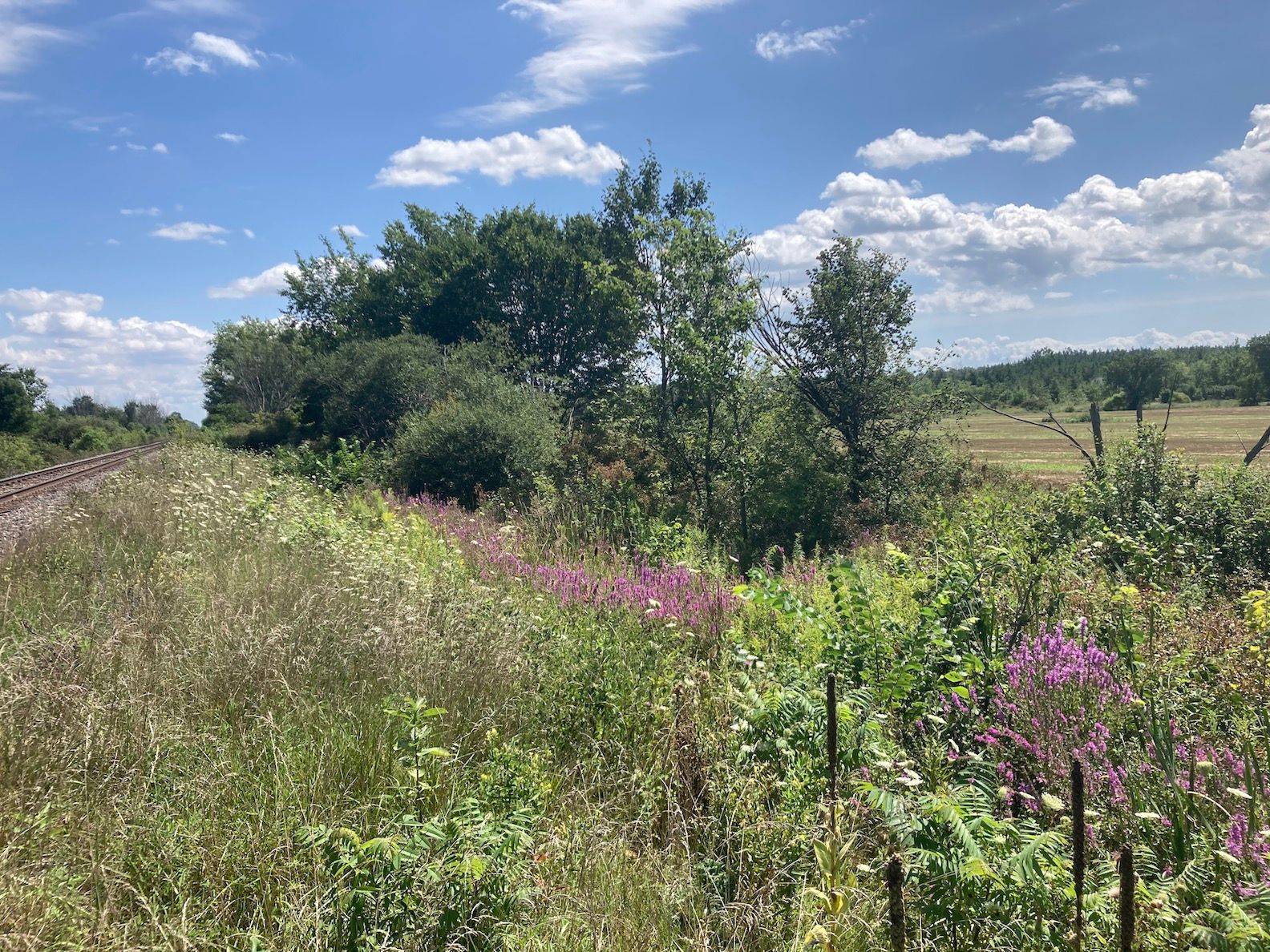 Fort Erie, ON L0S 1S0,PT LT11 CON 15 NIAGARA RIVER BERTIE PT 6 N/A