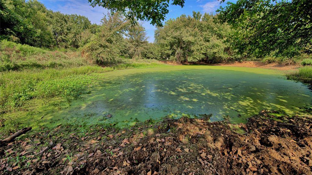 Bowie, TX 76230,5775 Old Vashti Road