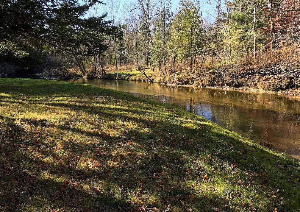 Thompsonville, MI 49683,15470 Roaring BRK