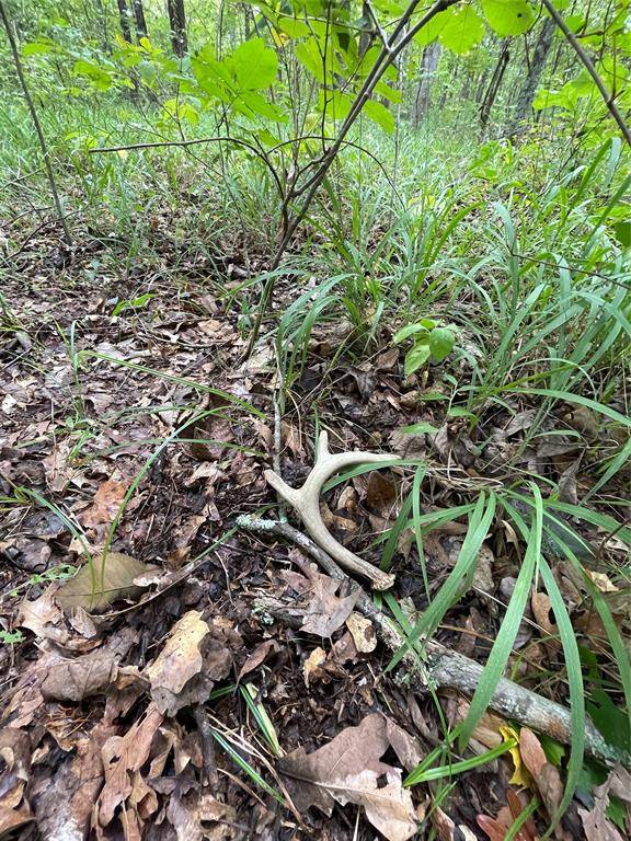 Talco, TX 75487,0016 CR 1915