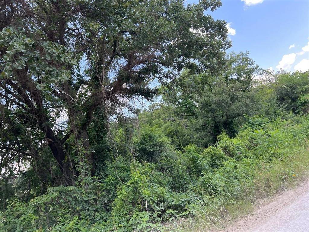 Whitney, TX 76692,1044 Hcr 1212