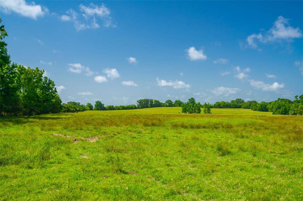 Omaha, TX 75571,1145 N Highway 144