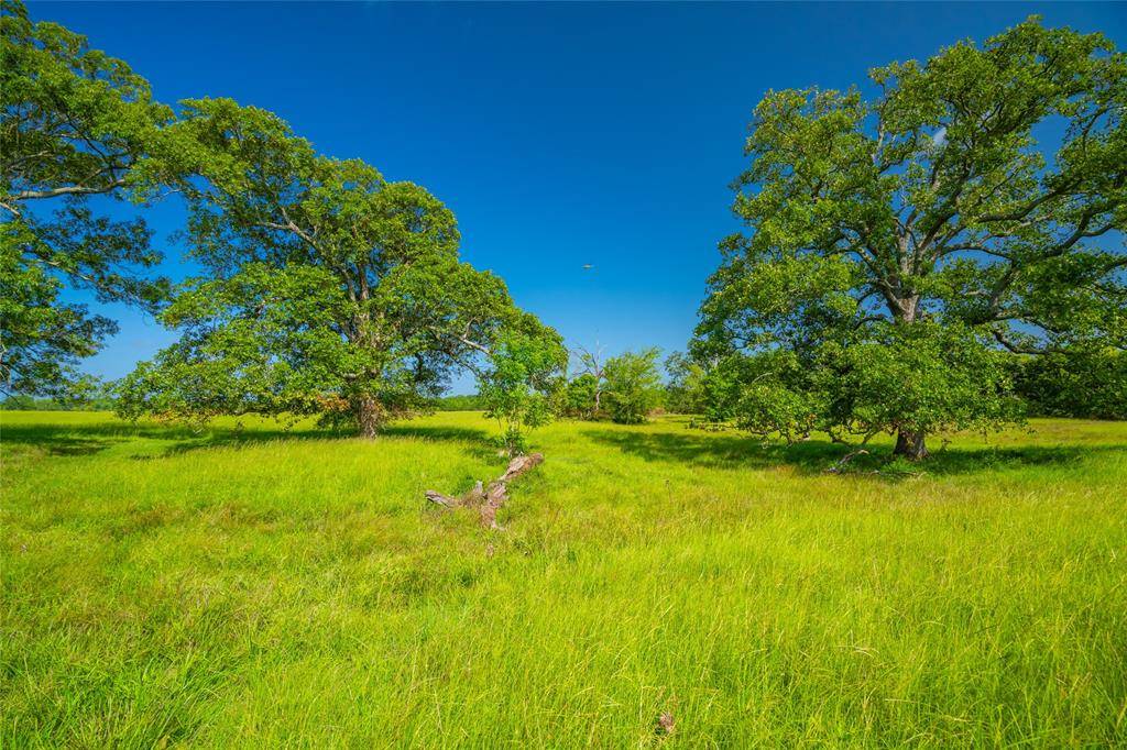 Omaha, TX 75571,1145 N Highway 144