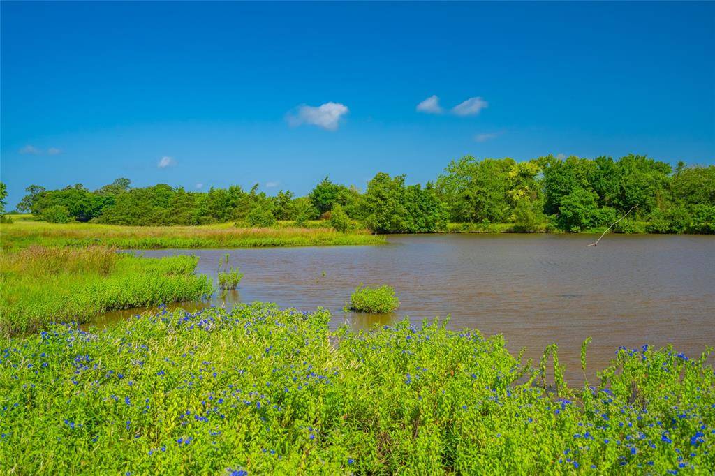 Omaha, TX 75571,1145 N Highway 144