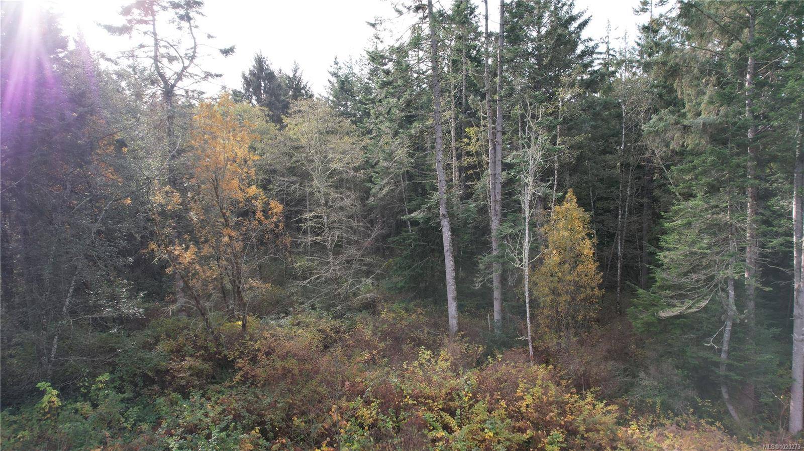 Sooke, BC V9Z 0S1,7093 West Coast Rd